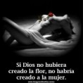 /album/fotogaleria-inicio/imagenes-bonitas-para-facebook-creacion-divina-jpg1/