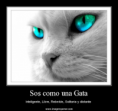 /album/fotogaleria-inicio/sos-como-una-gata-png1/